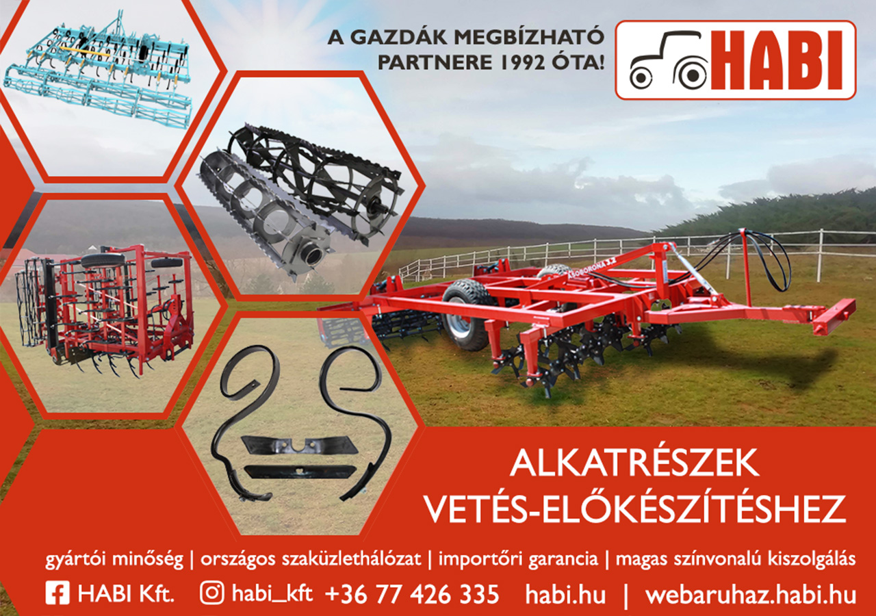 Vetés előkészítés